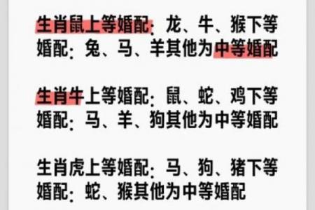 属鸡的对头是属狗的吗