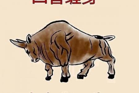 5月出生的牛：苦命还是富命