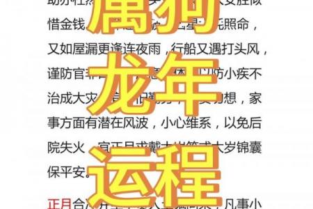 属狗之人喜水还是喜火