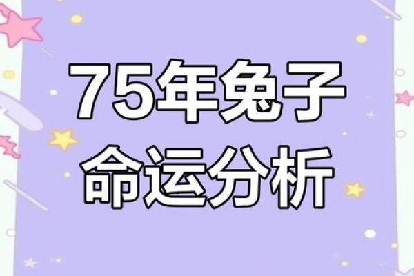 75年属兔者2026年离婚能否成功