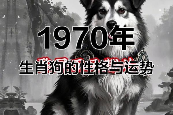 70年属狗女性最难熬的年龄段