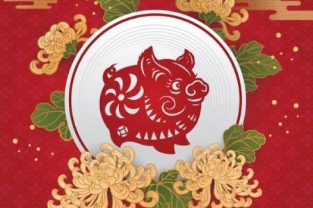 属猪人的吉祥数字