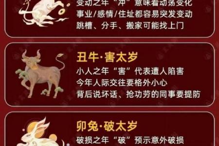 2026年属马者流年运势与灾厄走向分析