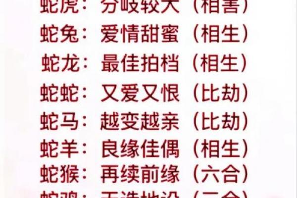 属蛇人最好的伴侣，生肖蛇最深爱的人是谁实战教程