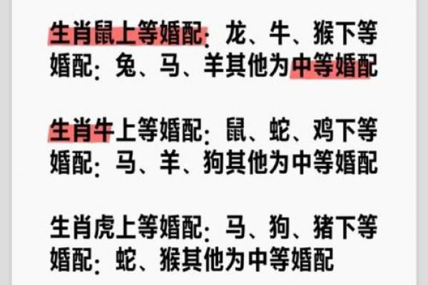 1995年出生属猪女性的命运与婚恋解析