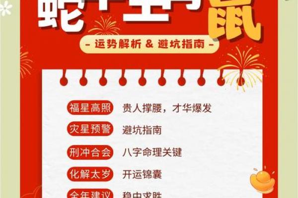 生肖鼠最适合的副业类型及最佳选择
