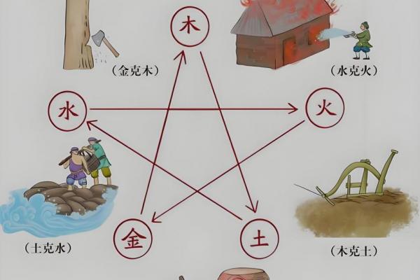 大林木与海中金是否相克