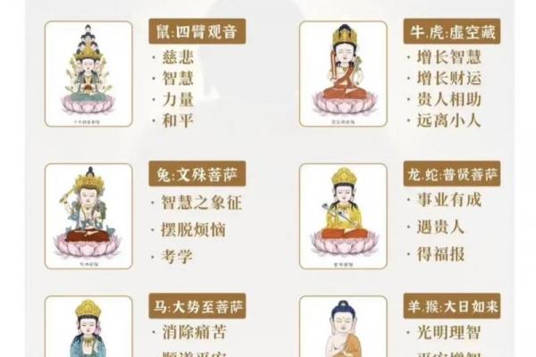 谁来守护属猪人