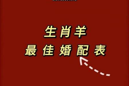 2026年属羊者能否庆祝生日，羊年过寿需注意哪些事项