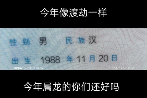 88年龙男最终婚姻结局