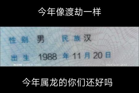 88年龙男最终婚姻结局