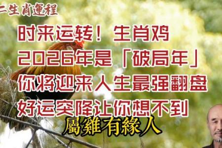 2026年属鸡者的命运转折点