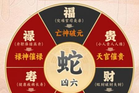 2026年属蛇的转折点详解：原理与应用