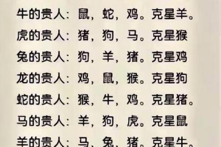 2026年属猪人的贵人是谁