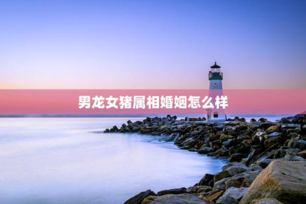 76龙女最终婚姻结局