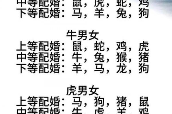 96年属鼠男性婚姻成功年份解析