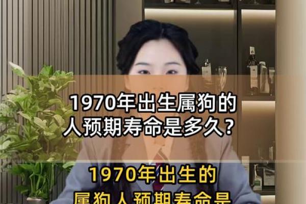 属狗哪天出生婚姻易波折