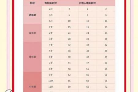 属狗哪天出生婚姻易波折
