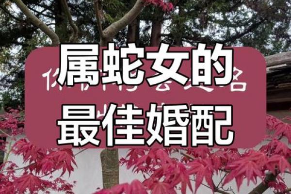 蛇男最恨的属相女