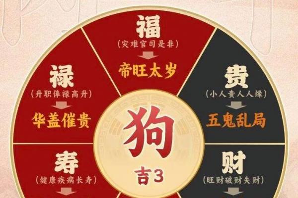 金狗命五行缺什么