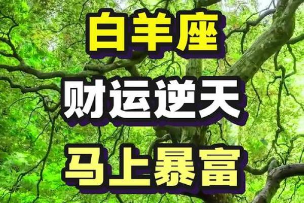 白羊座明日财运预测