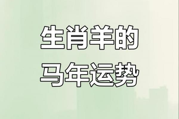 属羊者哪年迎来桃花运