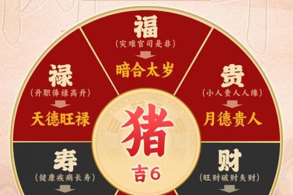 属猪人2026年情劫预警