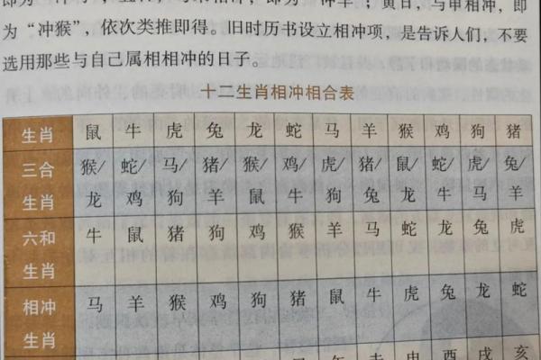 属牛者事业中与何生肖相冲