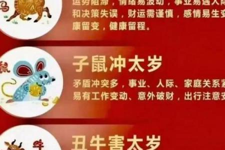 2026马年属兔人的忌讳