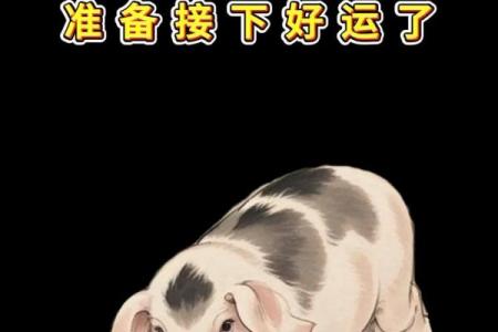 59年属猪人最大坎年
