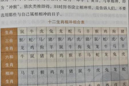 属牛者事业中与何生肖相冲