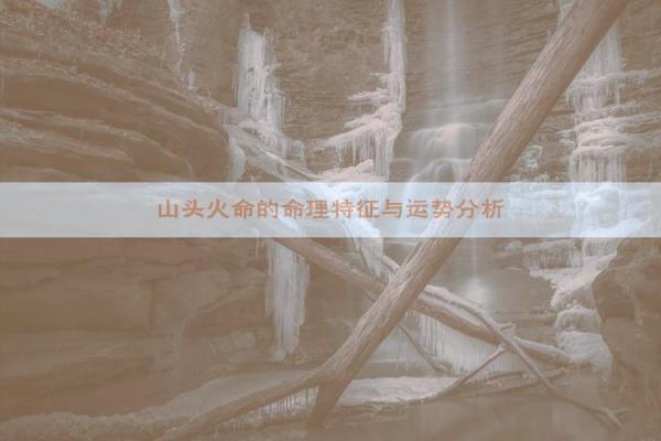 1995年山头火命运势如何