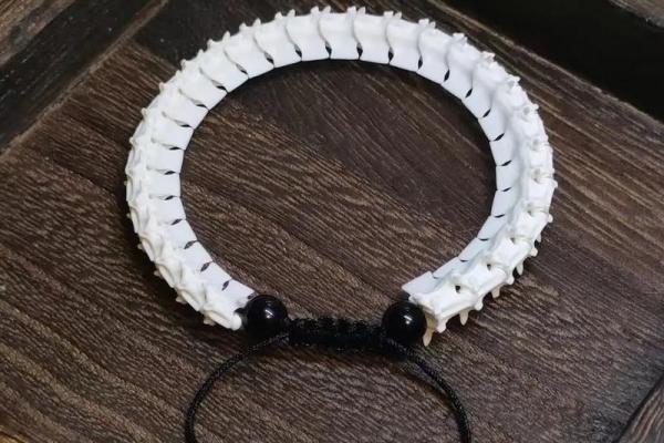 蛇宝宝最怕三类饰品