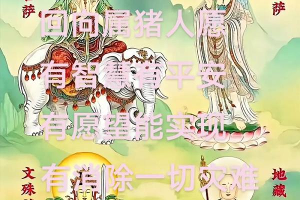 属猪人最宜远离之人