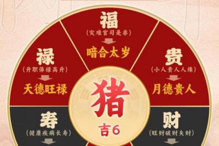 属猪人2026年如何提升运势