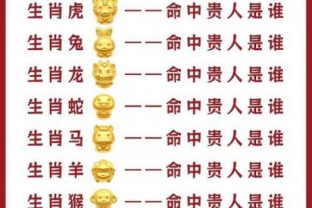 2026属猪哪个月有贵人
