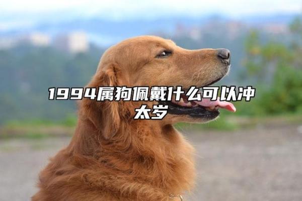 狗冲太岁佩戴什么最佳