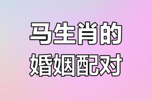 属马者最佳婚配生肖是哪个