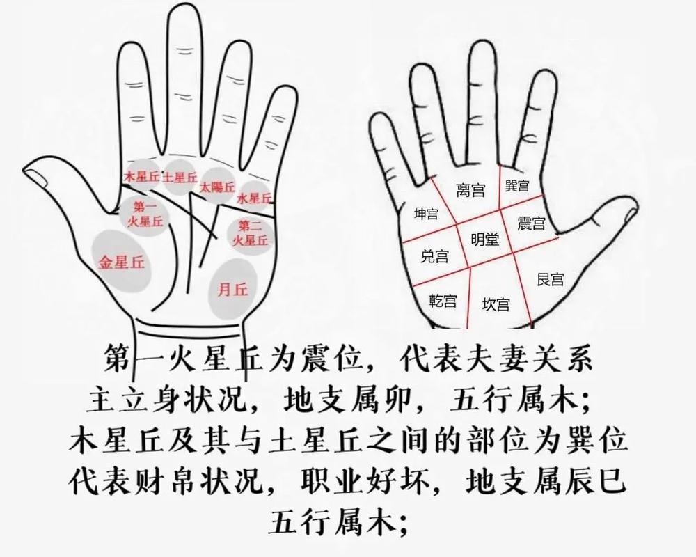 中国手相学流派与传承_手相历史_手相起源与历史发展