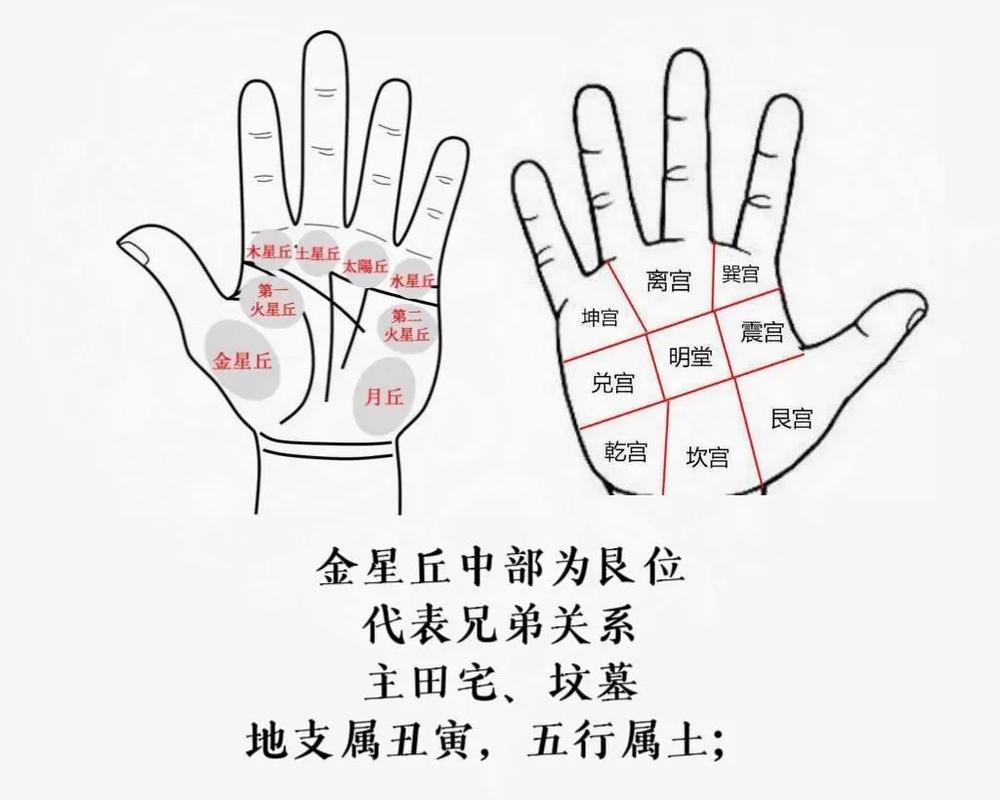 中国手相学流派与传承_手相历史_手相起源与历史发展