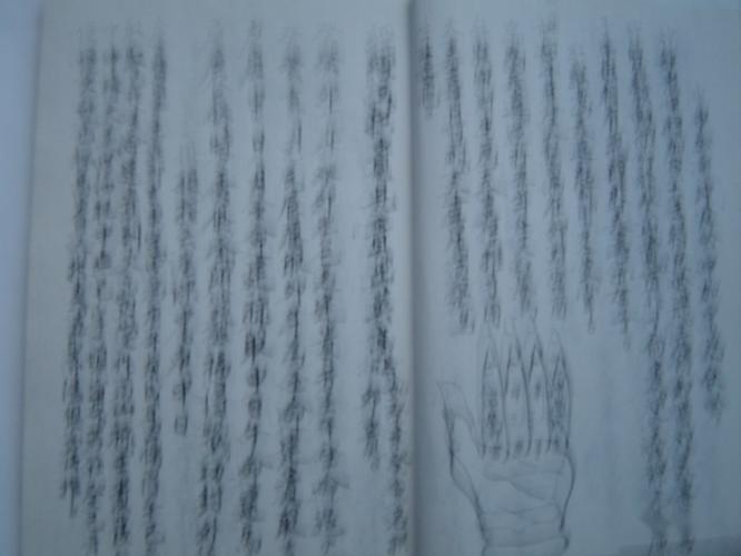 大六壬择宅干为人支为宅_大六壬排盘人宅关系_六壬排盘择宅法