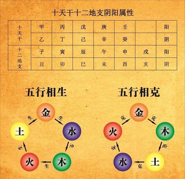 天干地支阴阳属性差异_天干地支生克关系_详解天干跟地支的生克差别