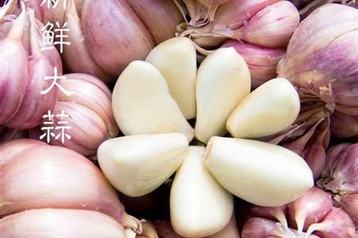 梦见蒜头是福是祸 周公解梦原文与吉凶预兆