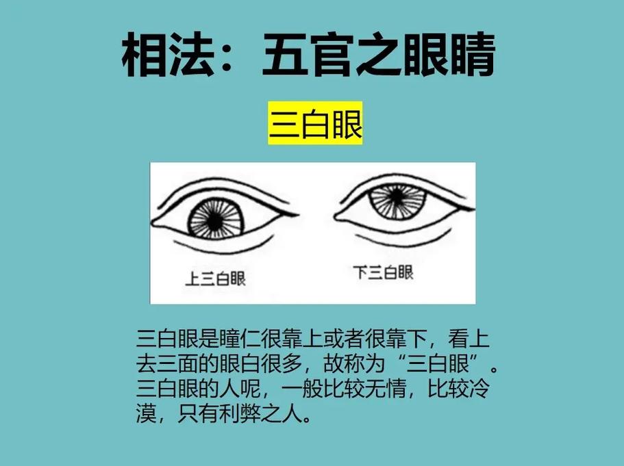 看脸识人的智慧传承：面相学价值与实用面相识人术