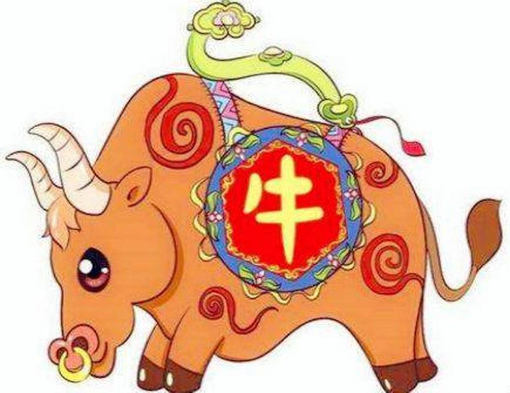 属牛女5月出生好不好 命运先平后顺贵在坚持