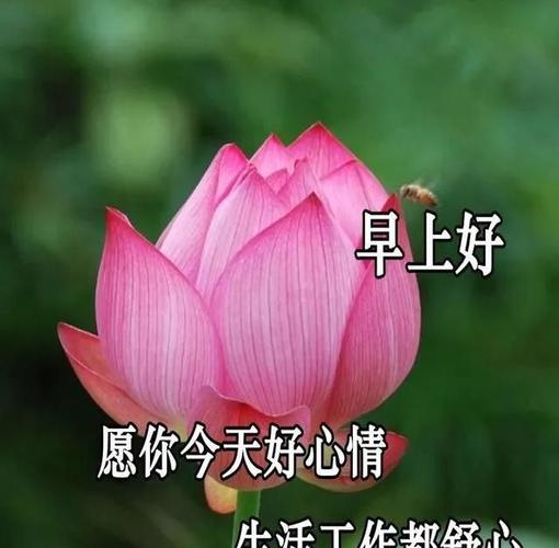 农历三月火龙女命运特征_女人火龙命几月最厉害_火龙女命几月出生最有福气