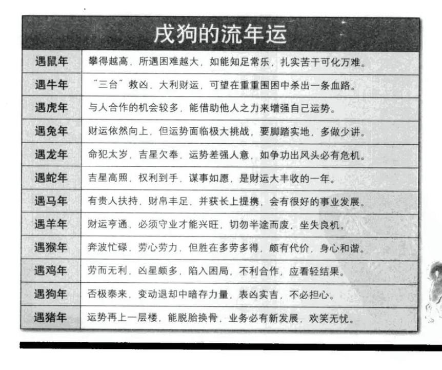 属狗女后半生的依靠 这几个生肖能呵护你到老