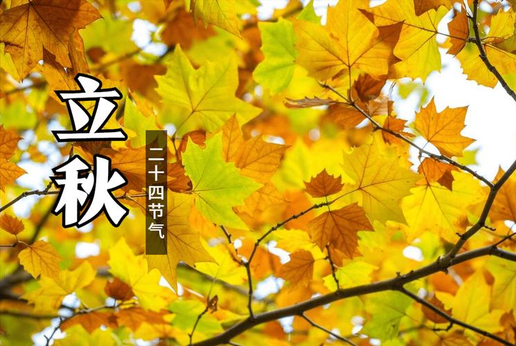 立秋属牛运势分析_农历七月出生的牛命运怎么样_农历七月属牛命运
