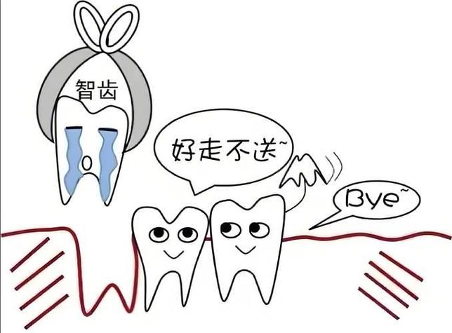 梦见自己掉了一颗下牙_梦见掉牙_下牙掉了和家庭关系