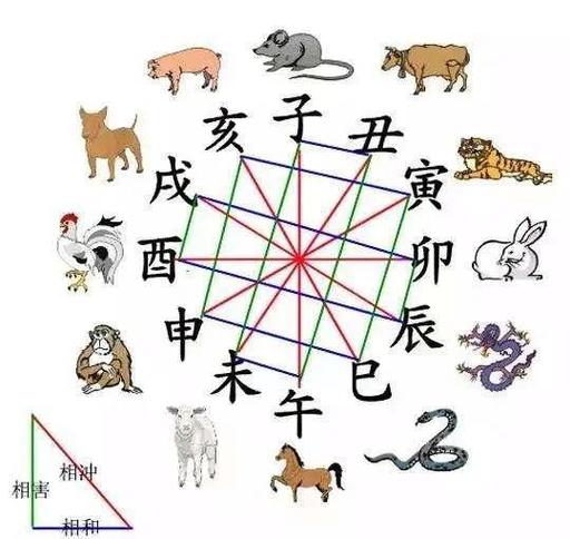 地支相破_十二地支相破详解_四帝旺相破